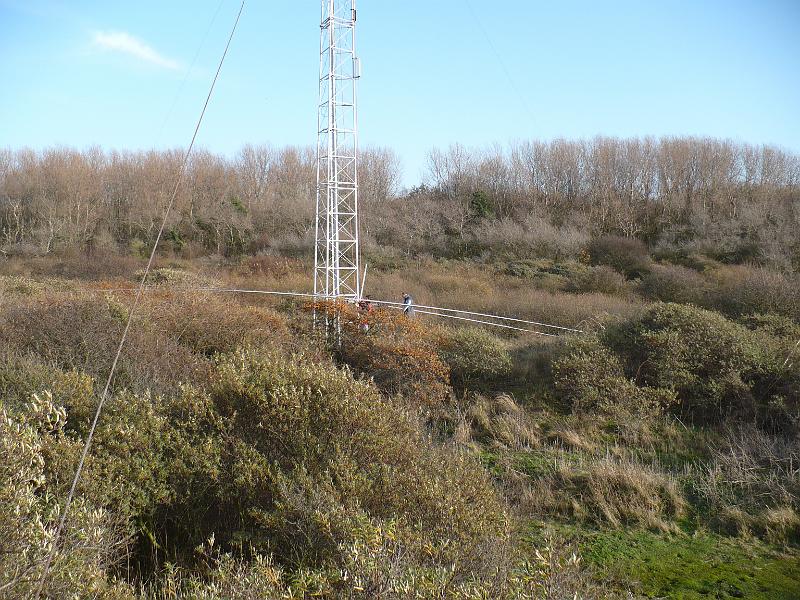 P1020525.JPG