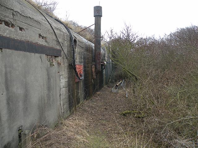 DSCN1113.JPG