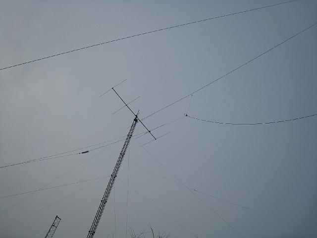 IMG_1604.jpg